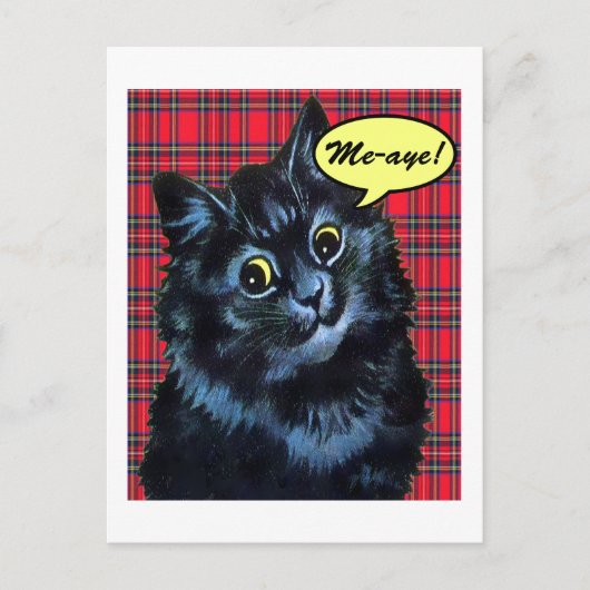 Scottish Independence Tartan Cat Lover Briefkaart (Voorkant)