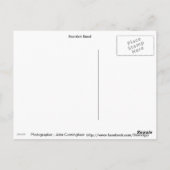 Scottish Pipeband Briefkaart (Achterkant)