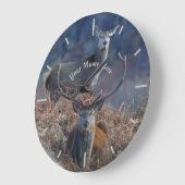 Scottish Red Deer Grote Klok (Hoek)