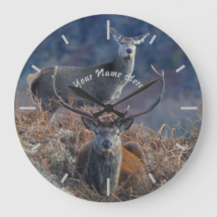 Scottish Red Deer Grote Klok