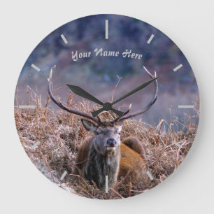 Scottish Red Deer Stag Grote Klok