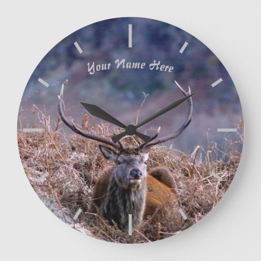 Scottish Red Deer Stag Grote Klok (Voorkant)