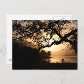 Scottish Sunset over een Loch Briefkaart (Voorkant / Achterkant)