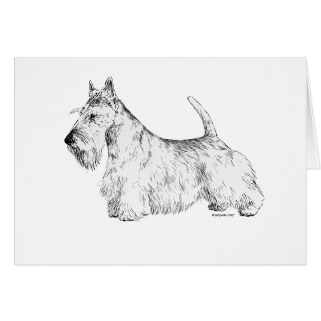 Scottish Terrier (Voorkant Horizontaal)