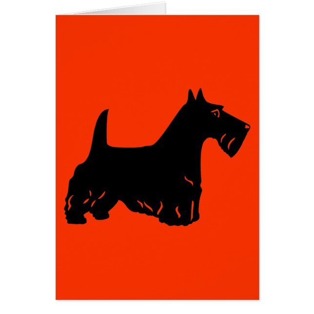 Scottish Terrier (Voorkant)