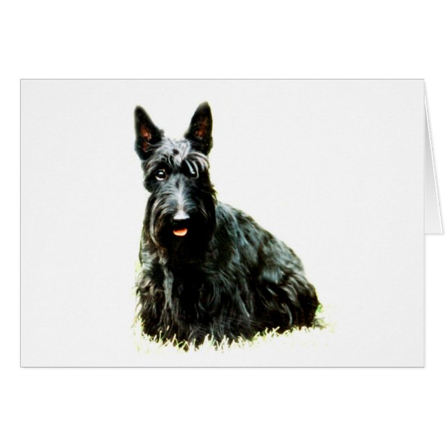 Scottish Terrier (Voorkant Horizontaal)