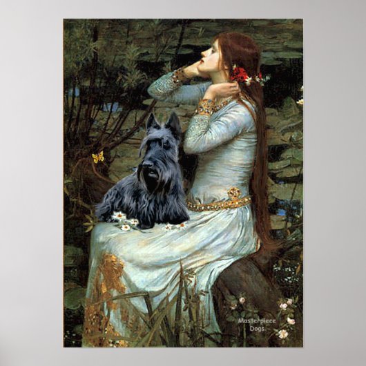 Scottish Terrier 2 - Ophelia Seated Poster (Voorkant)