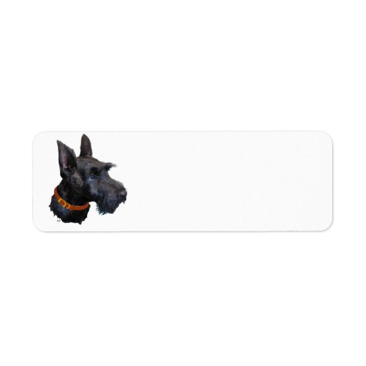 Scottish Terrier Address Label (Voorkant)