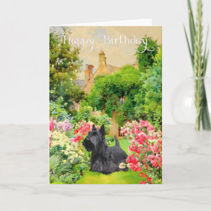 Scottish Terrier Birthday Kaart