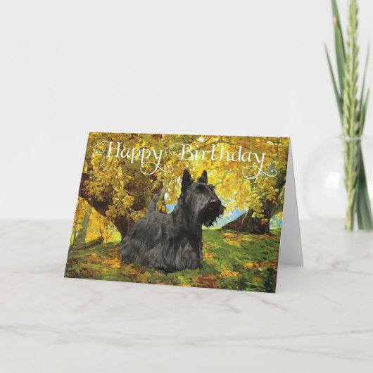 Scottish Terrier Birthday Kaart (Voorkant)