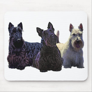 Scottish Terrier black/piepende trio, zwarte hond Muismat