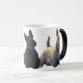 Scottish Terrier black/wheaten trio, zwarte hond Magische Mok (Voorkant rechts)