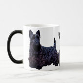 Scottish Terrier black/wheaten trio, zwarte hond Magische Mok (Links)