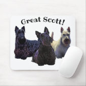 Scottish Terrier black/white trio, Great Scott. Muismat (Met muis)