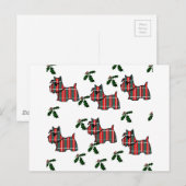 SCOTTISH TERRIER BRIEFKAART (Voorkant / Achterkant)