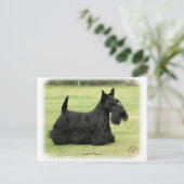 Scottish Terrier Briefkaart (Staand voorkant)