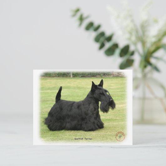 Scottish Terrier Briefkaart (Staand voorkant)