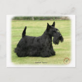 Scottish Terrier Briefkaart (Voorkant)