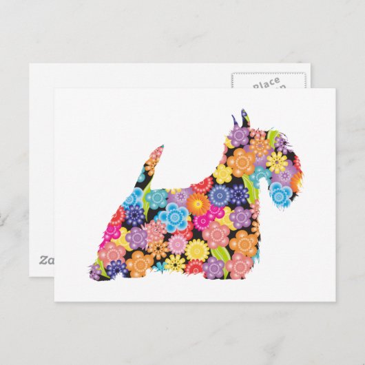 Scottish Terrier Briefkaart (Voorkant / Achterkant)