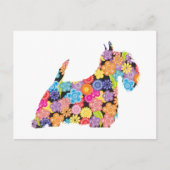 Scottish Terrier Briefkaart (Voorkant)