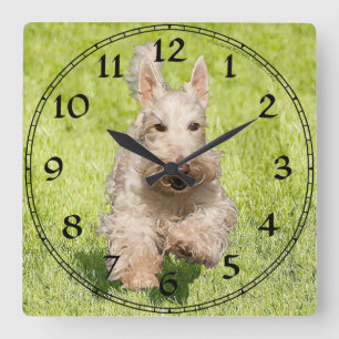 Scottish Terrier Clock Vierkante Klok