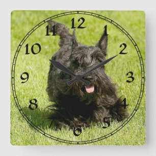 Scottish Terrier Clock Vierkante Klok