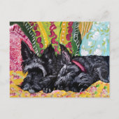 Scottish Terrier Cottage Briefkaart (Voorkant)