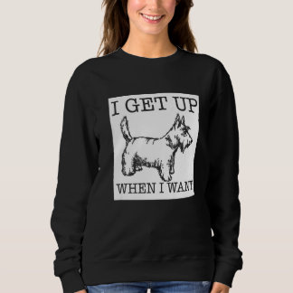 Scottish Terrier  dog    1 Trui