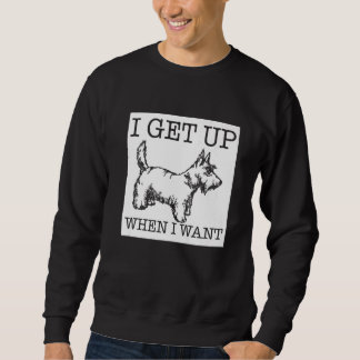 Scottish Terrier  dog    1 Trui
