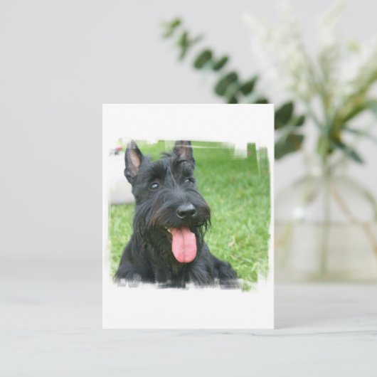 Scottish Terrier Dog Briefkaart (Staand voorkant)