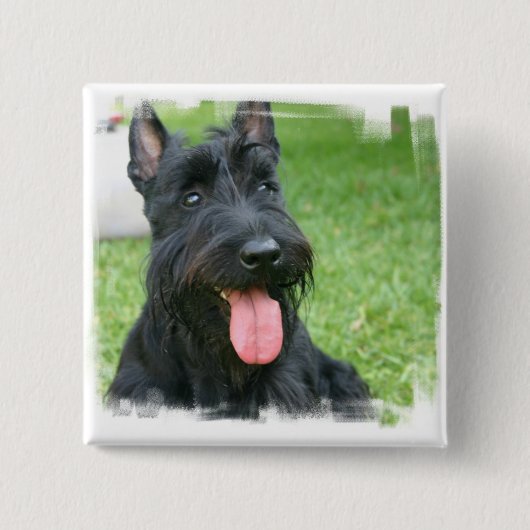 Scottish Terrier Dog Button (Voorkant)