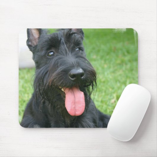 Scottish Terrier Dog Muismat (Met muis)