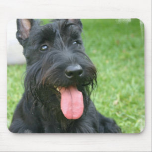 Scottish Terrier Dog Muismat