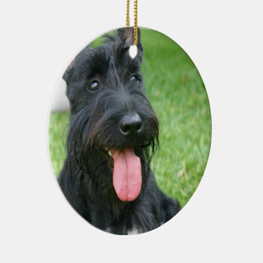 Scottish Terrier Dog Ornament (Rechts)