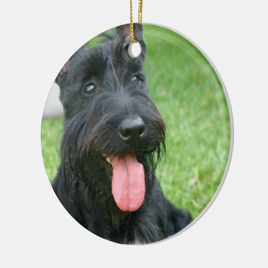 Scottish Terrier Dog Ornament (Links)