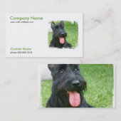 Scottish Terrier Dog Visitekaartje (Voorkant / Achterkant)