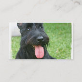 Scottish Terrier Dog Visitekaartje (Achterkant)
