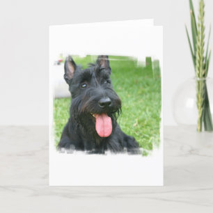 Scottish Terrier Dog Wenskaart Kaart