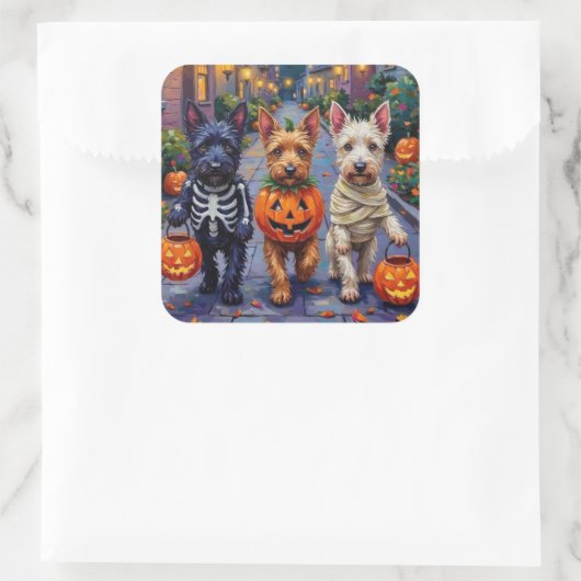 Scottish Terrier Dogs in Halloween Costumes Vierkante Sticker (Tas)