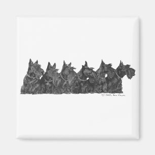 Scottish Terrier Gathering Magneet