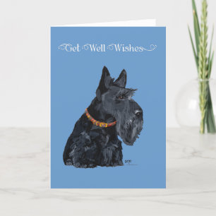 Scottish Terrier Get Well Kaart