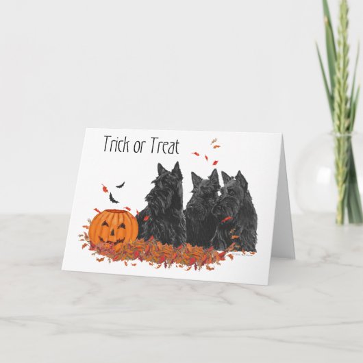 Scottish Terrier Halloween Wenskaart Kaart (Voorkant)
