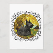 Scottish Terrier in Autumnal Bossen Briefkaart (Voorkant)