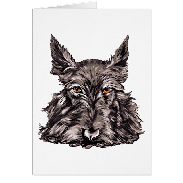 Scottish Terrier in Black (Voorkant)