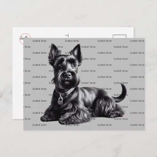 Scottish Terrier in Briefkaart (Voorkant / Achterkant)