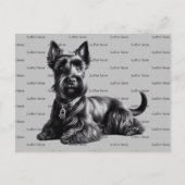 Scottish Terrier in Briefkaart (Voorkant)