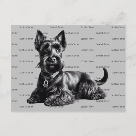Scottish Terrier in Briefkaart (Voorkant)