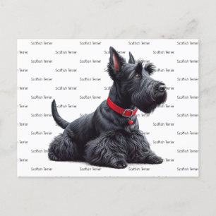 Scottish Terrier in Briefkaart