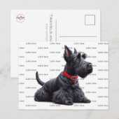 Scottish Terrier in Briefkaart (Voorkant / Achterkant)