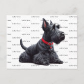 Scottish Terrier in Briefkaart (Voorkant)